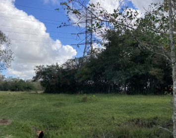 Brazoria